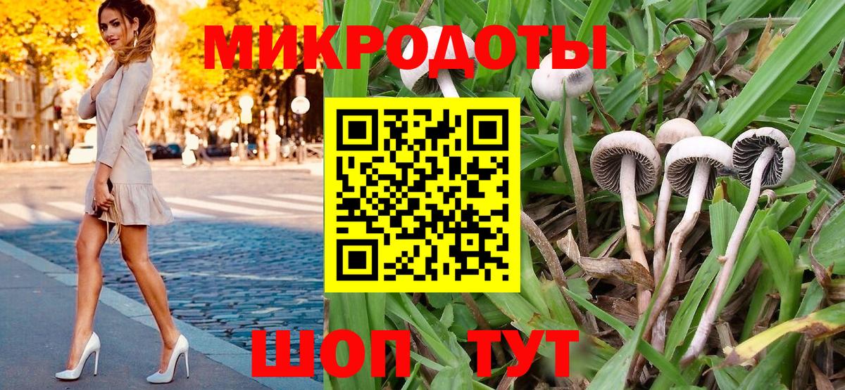 Осинники  продажа наркотиков  Вход с VPN  Псилоцибиновые грибы GOLDEN TEACHER 