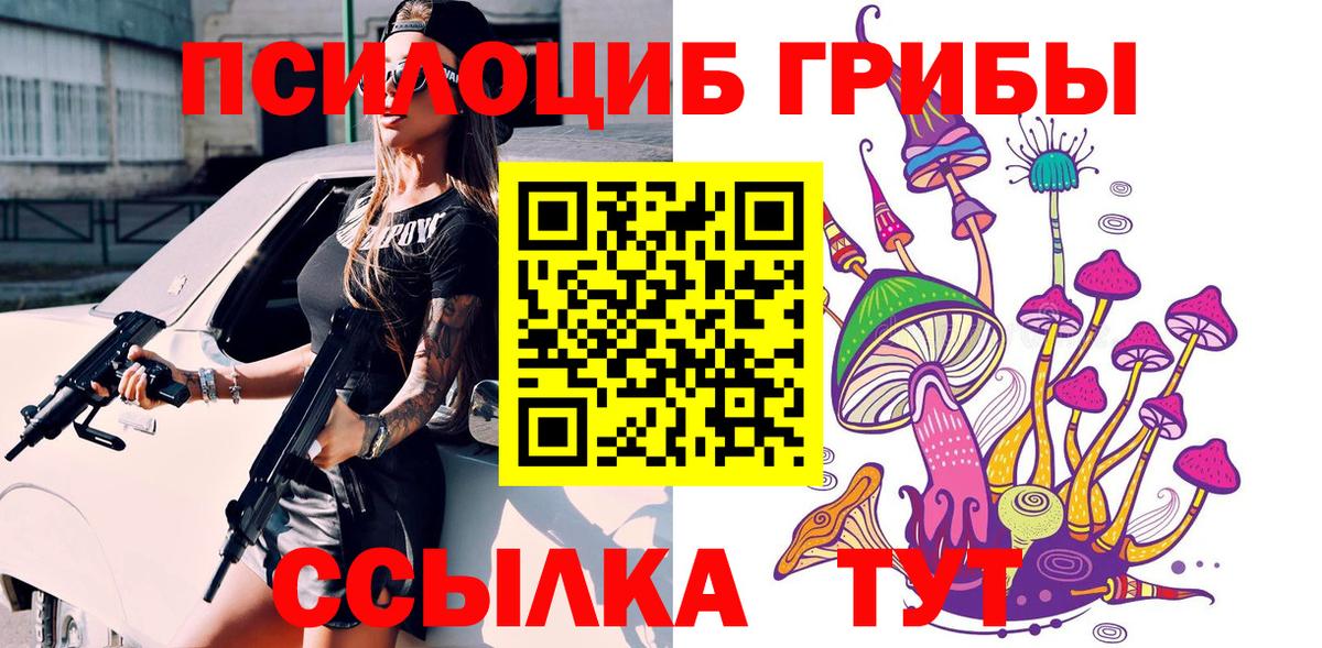 Галлюциногенные грибы прущие грибы Осинники